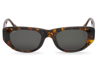 Cheetah Tortoise - Guyam - With Classical Lenses