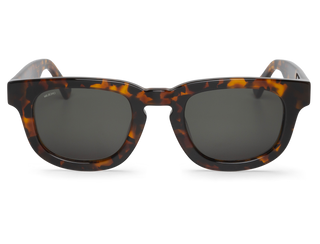 Cheetah Tortoise - Siesta - With Classical Lenses