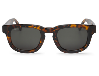 Cheetah Tortoise - Siesta - With Classical Lenses