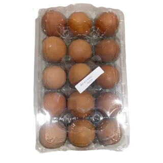 Bbv Eggs X 15