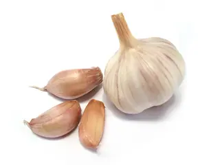 CZOSNEK szt