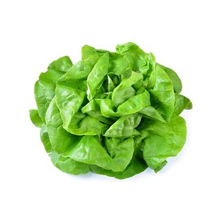 SAŁATA MASŁOWA szt KL I