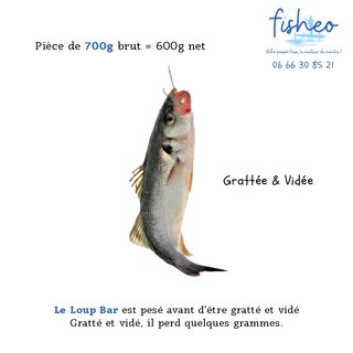 Loup Bar gratté et vidé (700g)