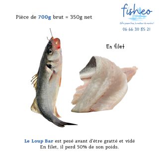 Filet de Loup Bar (700g)