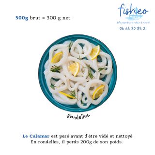 Calamar Rondelles (500g)
