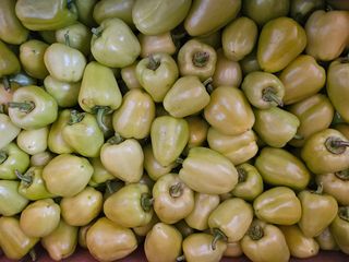 Paprika za filovanje