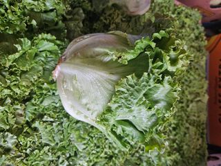 Salata kristal - 500gr