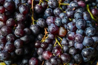 Grožđe crno