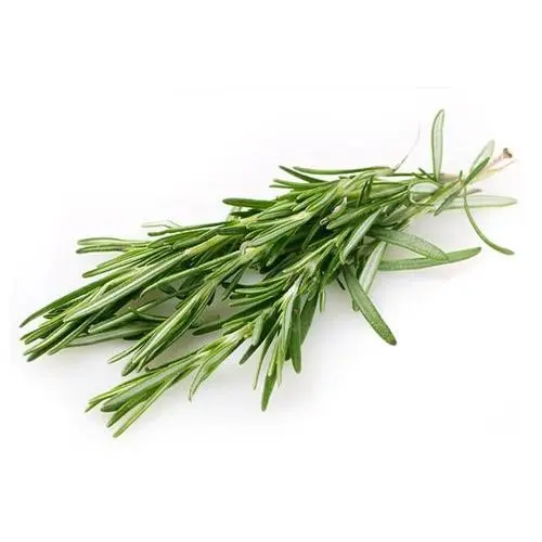 Ervas Aromáticas