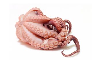 Восьминіг цілий ваговий 1-1.5кг (ціна за 100г)