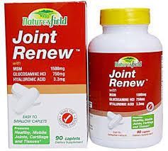 Nature's Field Joint Renew 750Mg/400 I.u
