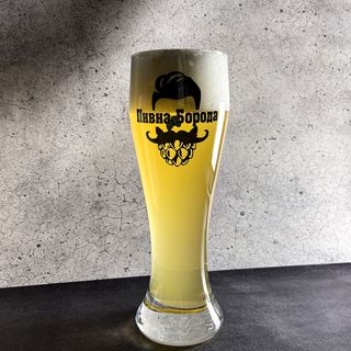 Пиво  «Fanatic Lager 1654» 2 Л