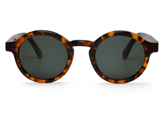 Cheetah Tortoise Dalston With Classical Lenses