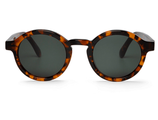 Cheetah Tortoise Dalston With Classical Lenses