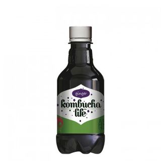 KOMBUCHA LIFE life organic ðumbir 330 ML