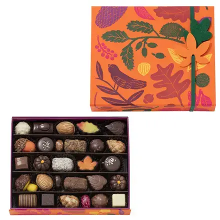 Collection  Automne