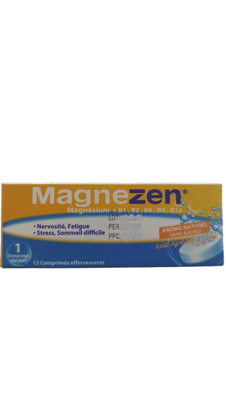Magnezen comprimés boite de 12