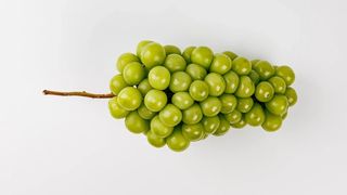 Виноград Мускат