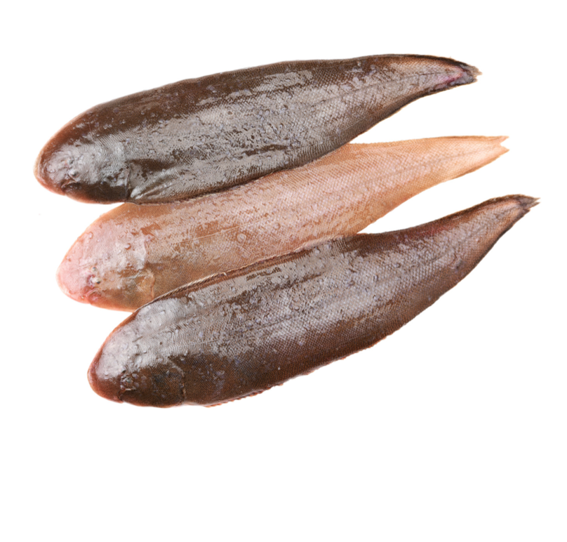 Sole Noire Fraîche – 500 g