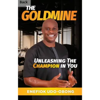 The Goldmine - Unleashing the Champion in You