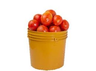Tomato - Grade A 1 Paint Bucket (3kg)
