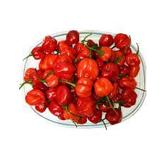 Blend Pepper - Sombo Grade B (Half Paint Bucket (850G))