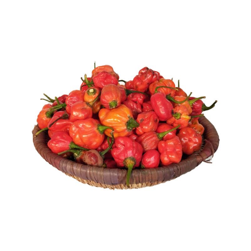 Blend Pepper - Ata Rodo Grade B (1Kg)