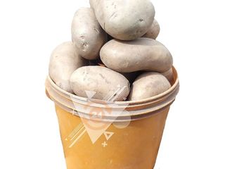 Potato - Irish 1 Paint Bucket (4kg)