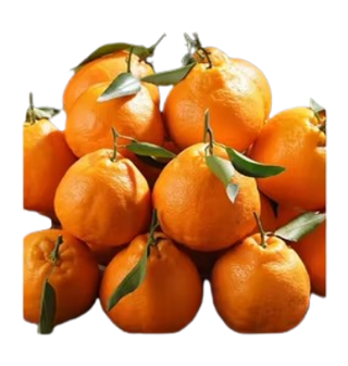 Tangerine - Clementine 1 Dozen