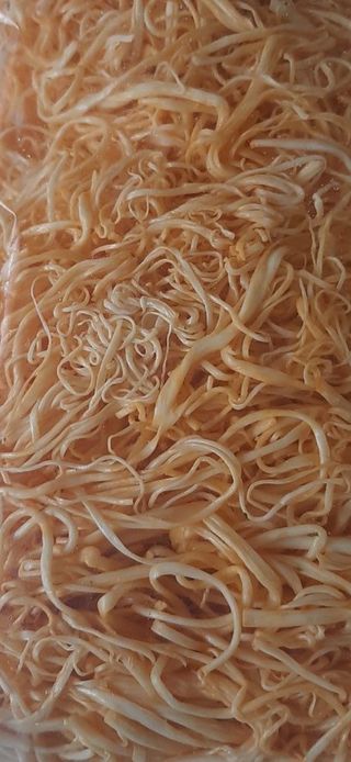 Сир павутинка холодець Чілі