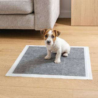 Nice Care Empapadores carbon 30pcs 55x55cm