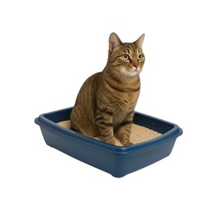 Nice Care Bandeja Sanitaria 50cm Azul