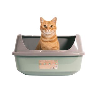 Nice Care Eco Bandeja Sanitaria 57cm Verde