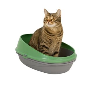 Nice Care Eco Bandeja Sanitaria Pin Up Luxo Verde