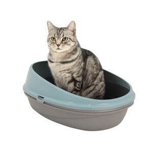 Nice Care Eco Bandeja Sanitaria Pin Up Luxo Azul