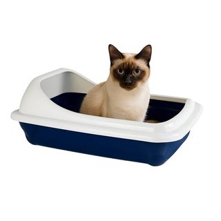 Nice Care Bandeja Sanitaria Birba con cornice Azul L