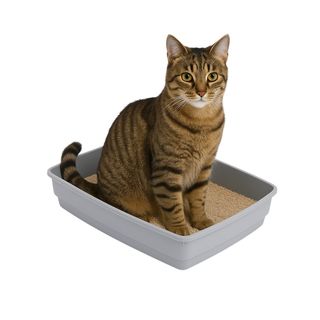 TK Pet Bandeja Sanitaria Essential W Cat