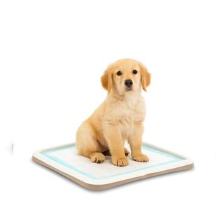 Nice Care Bandeja Sanitaria Gastone Perro L