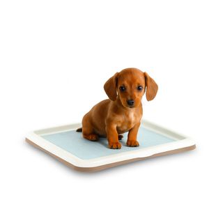 Nice Care Bandeja Sanitaria Gastone Perro M