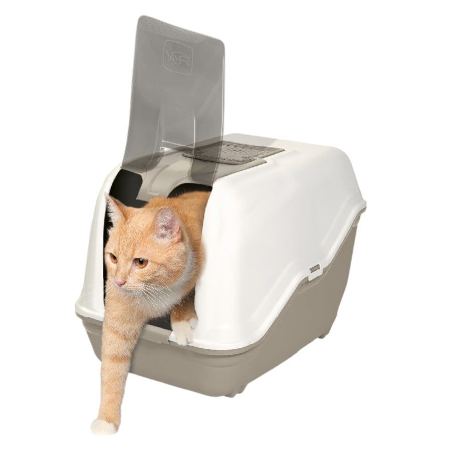 Higiene e Limpeza Gato