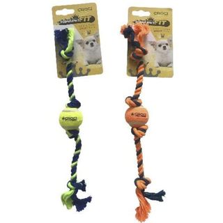 Jeu de chien de Cotonosso avec ballon