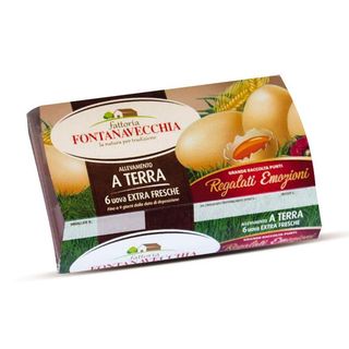 Fontanavec.All.Terra Extra Mx6 - 23149