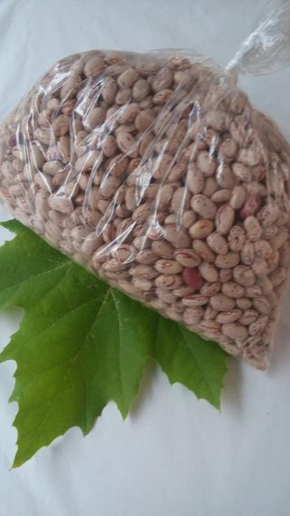 Domaći šareni grah - 500gr