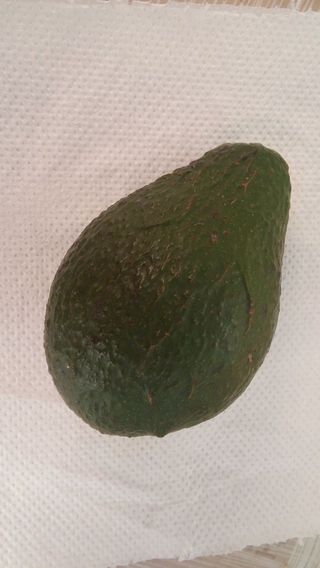 Avokado - komad