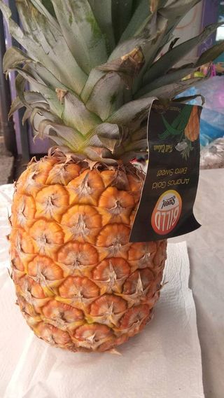 Ananas - komad