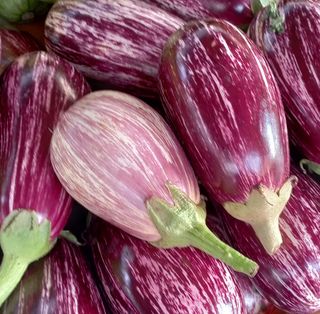 Ljubičasti patlidžan 500 g