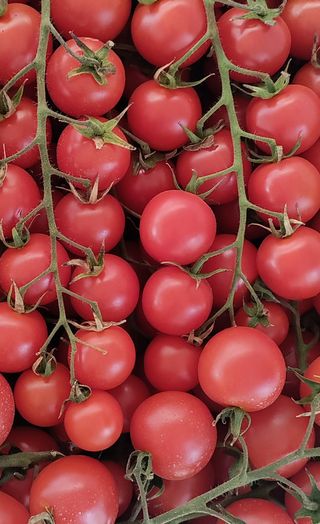 Organski pikolo Ilijas 500 g