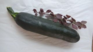 Tikvica (cukini) 500 g