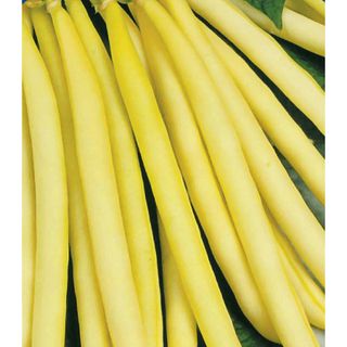 Žuta buranija 500 g