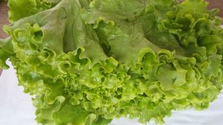 Kristal salata komad